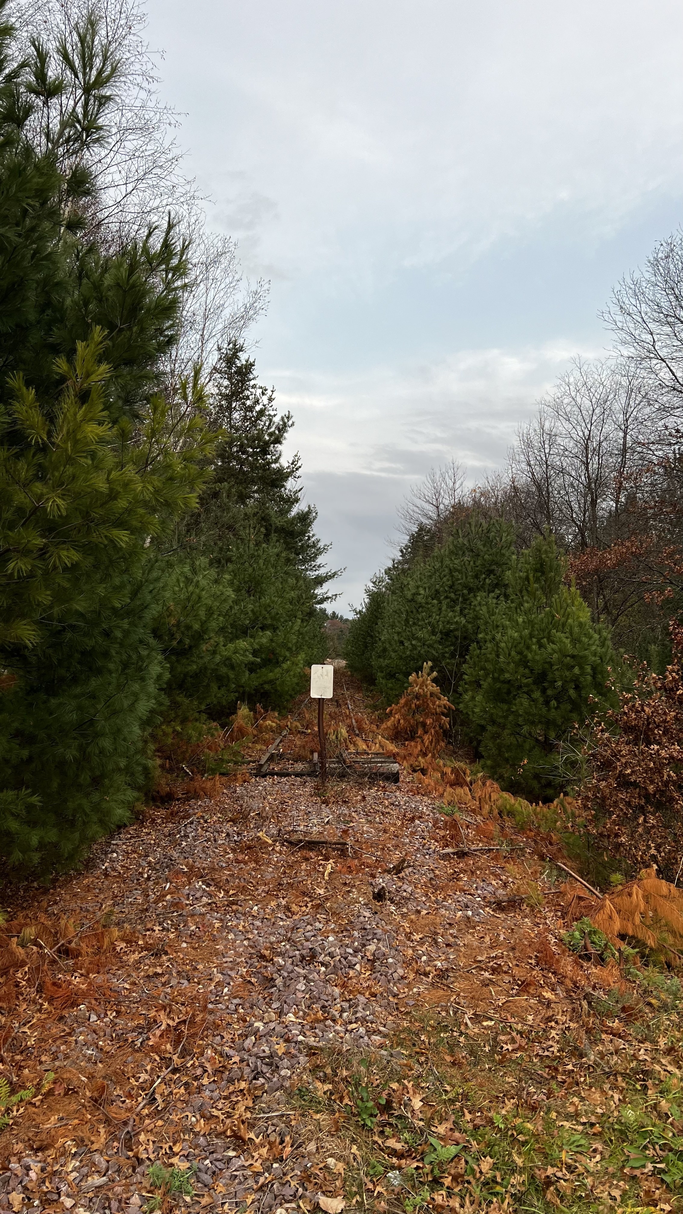 Serving the Weston area